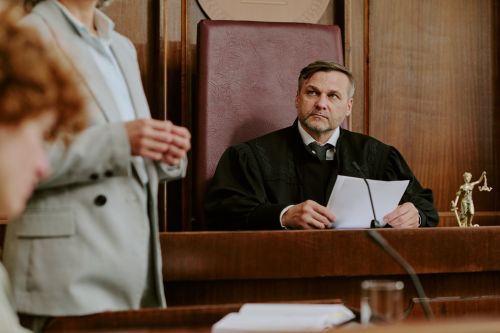 Middle Aged Male Judge Listening to Lawyer Presenting Case in Courtroom